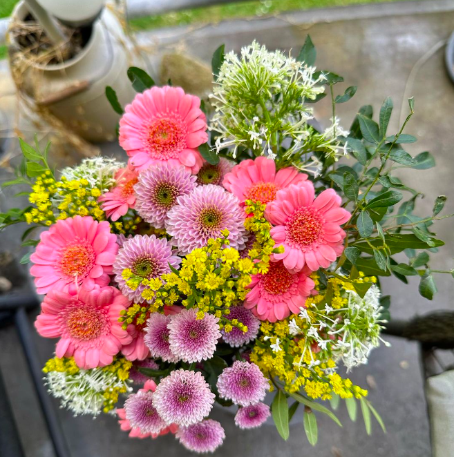 Der Blumenwurf von Erfurt