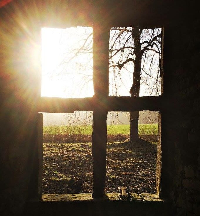 Fenster mit Sonnenstrahlen